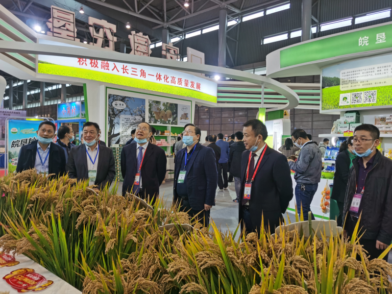 皖墾種業(yè)特色新品種亮相農(nóng)交會(huì)農(nóng)墾展廳