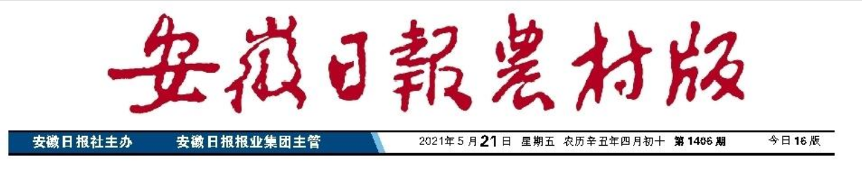 皖墾種業(yè)：重塑業(yè)務(wù)新坐標(biāo)　推進(jìn)種糧一體化