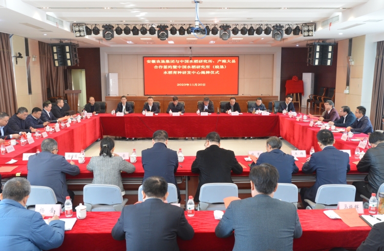 安徽省農(nóng)墾集團(tuán)與中國水稻研究所、產(chǎn)糧大縣合作簽約暨中國水稻研究所（皖墾）水稻育種研發(fā)中心揭牌儀式成功舉行